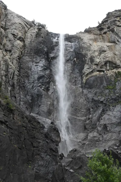 DSC_4614 (Large).JPG